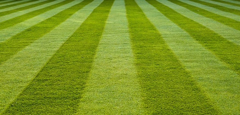 Gorgeous Artificial Turf, Eco lawn Santa Barbara